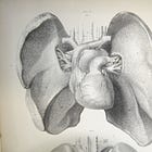 Let Me Tell You About My Heart