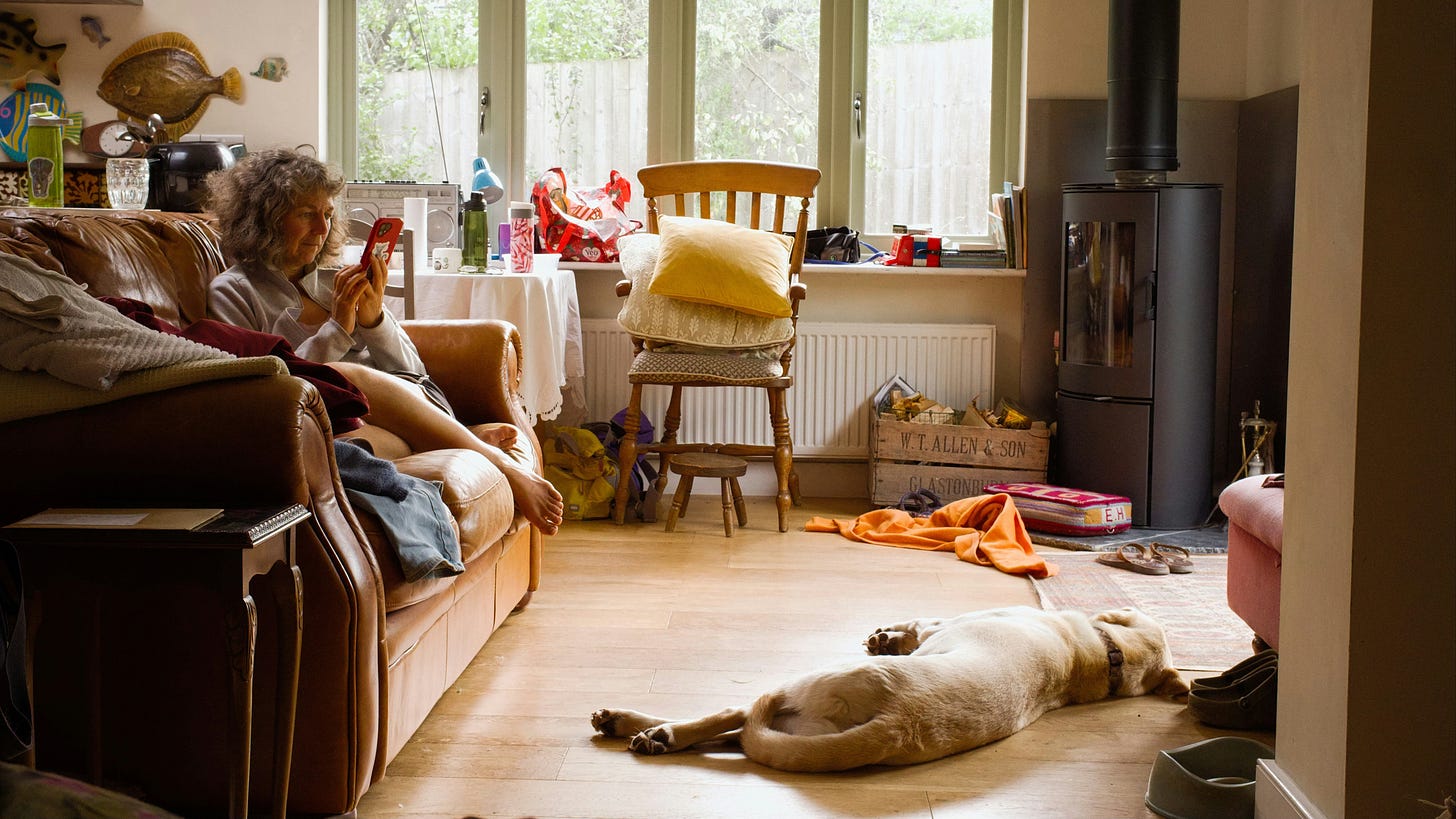 A golden retriever lays on the floor next to a woman sitting on a couch. She’s on her phone and the room is messy.