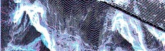 Signal & Noise