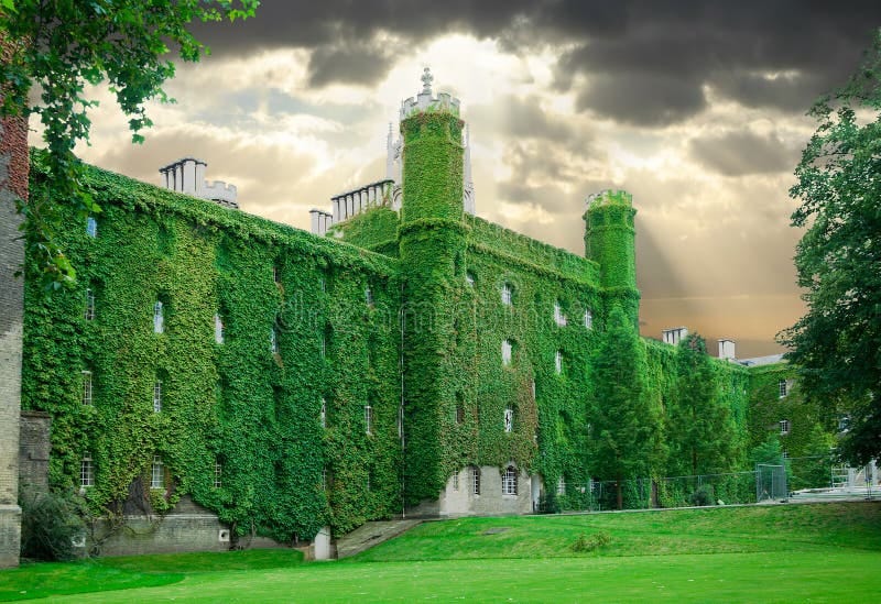 Ivy Wall Cambridge Stock Photos - Free & Royalty-Free Stock Photos from  Dreamstime
