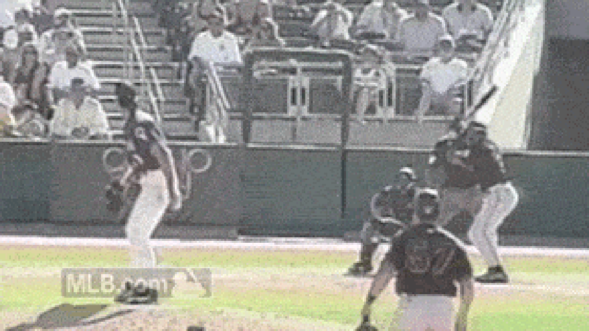 Bird Experts Reflect on Randy Johnson Hitting a Bird With a ... Bird Experts Reflect on Randy Johnson Hitting a Bird With a ...