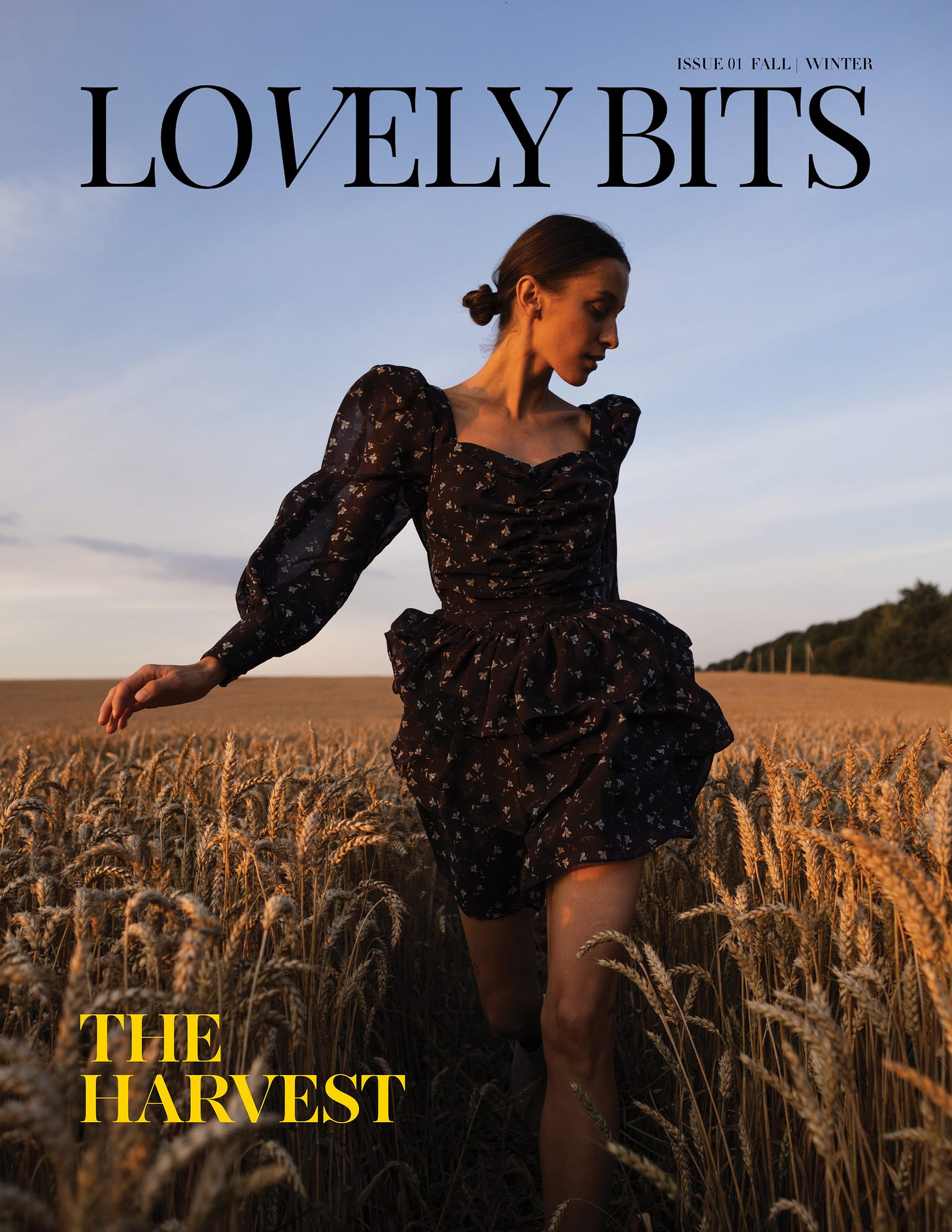 Welcome to Lovely Bits Magazine - by Nicole Brignolle
