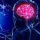 The APOE4 Gene | Brain Health & Alzheimer’s Prevention 