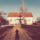 The Bergman Island Blog