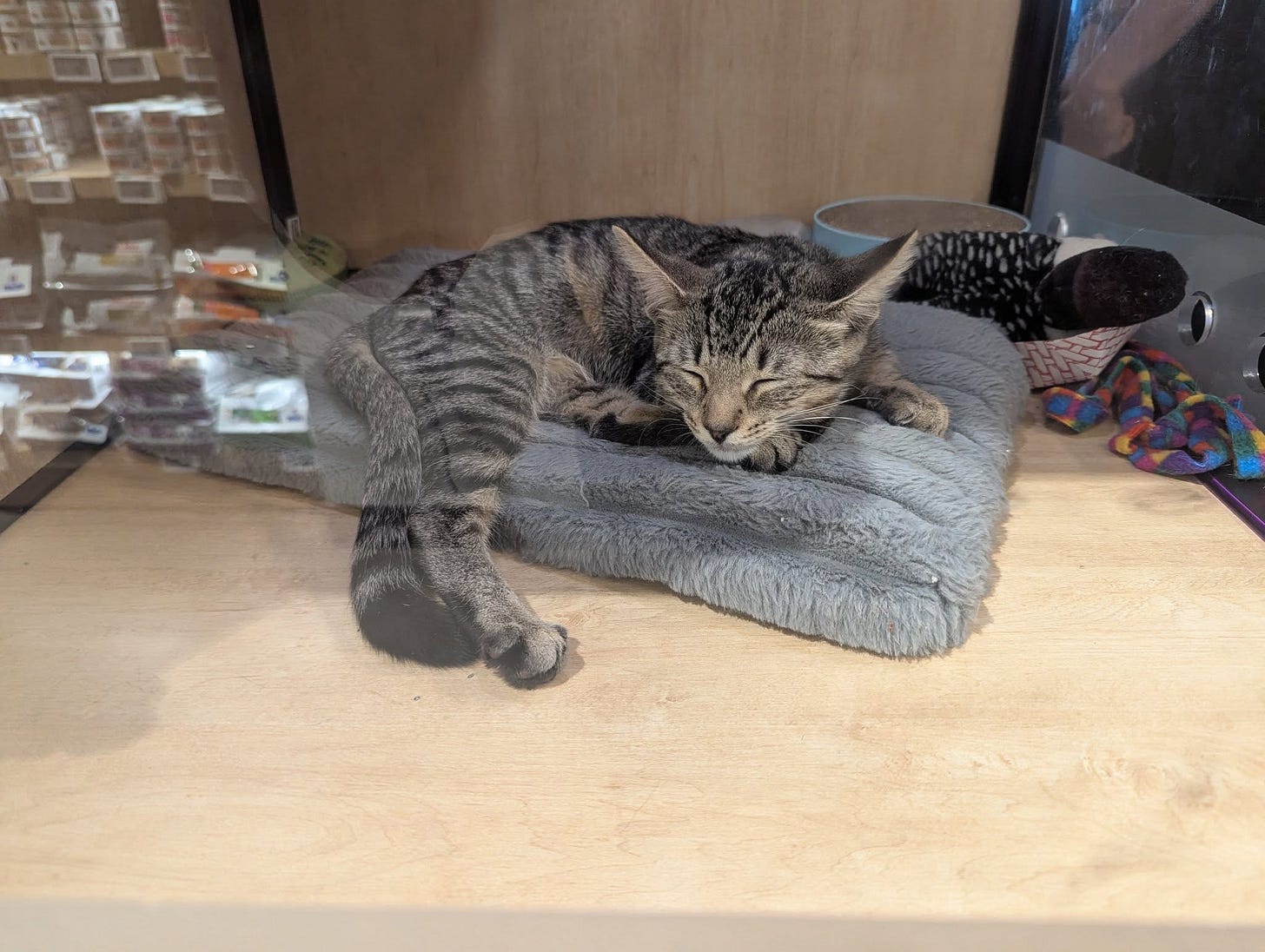 No photo description available.