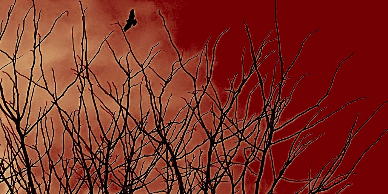 The Exit: A Blood Moon Molting