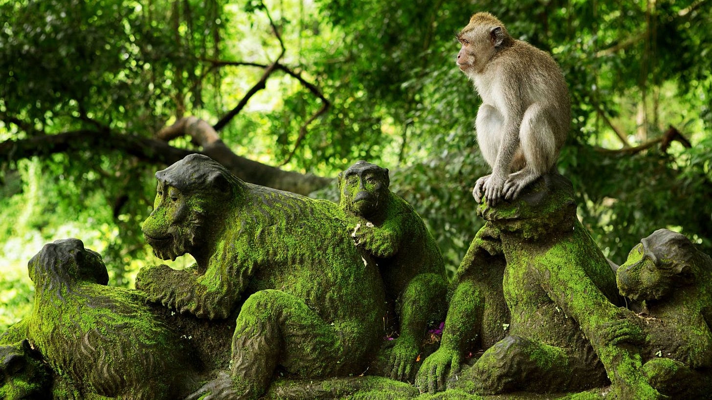 A young long-tailed macaque sits perched atop a row of moss-covered stone monkey statues in the lush, green Ubud Monkey Forest.