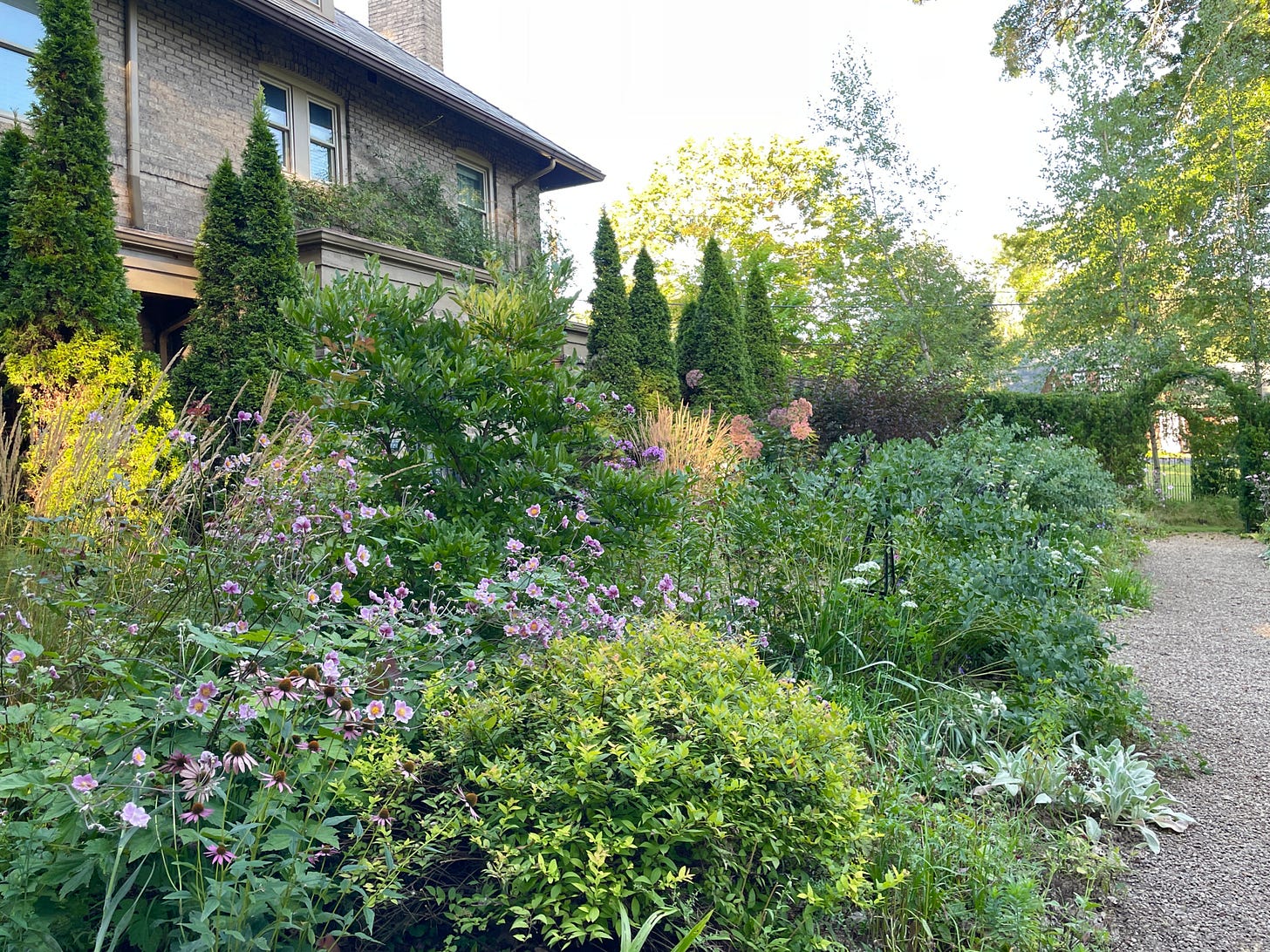 The Cottage Garden is near what was the proper front yard of our house. It is now four large mixed border beds that keep changing through the seasons. The Cottage Garden is near what was the proper front yard of our house. It is now four large mixed border beds that keep changing through the seasons.