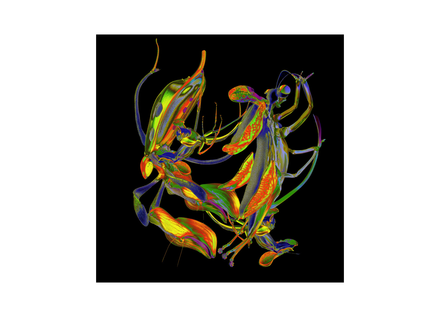 DJ Nobu – Shō - by Henry Ivry - First Floor