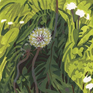 Somehow I Manage – Allie’s Monthly Newsletter