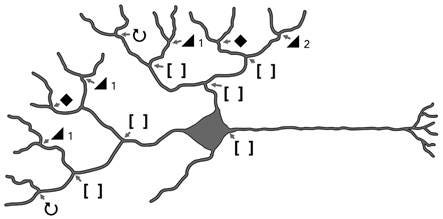 A map of a river
AI-generated content may be incorrect. A map of a river
AI-generated content may be incorrect.