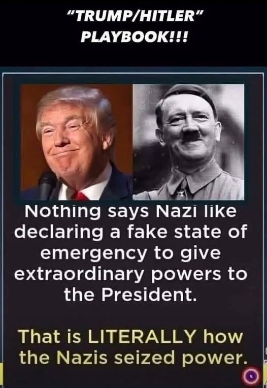 May be an image of 2 people and text that says '"TRUMP/HITLER" PLAYBOOK!!! Nothing says Nazi like declaring a fake state of emergency to give extraordinary powers to the President. That is LITERALLY how the Nazis seized power.'