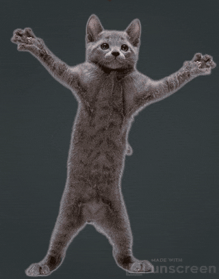 Dancing gray tabby cat with flashy background. Dancing gray tabby cat with flashy background.