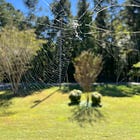 From Dozens of Courses to One Real Breakthrough