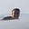 Gregory M. Gremillion's avatar