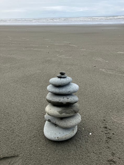 Photos of Olympic National Park coast and rain forest