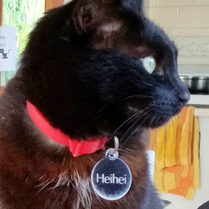 A gallery of 4 close up photos of Tigerlily and Heihei.
