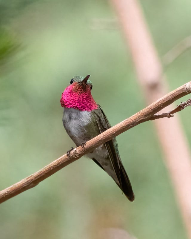 20250721-MillerCanyon-192-Edit.jpg 20250721-MillerCanyon-192-Edit.jpg