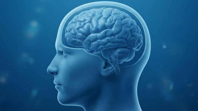 brain dehydration