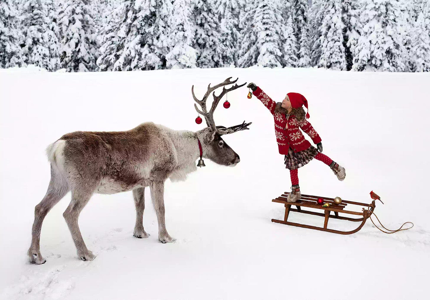 a girl decorating a reindeer with christmas orname