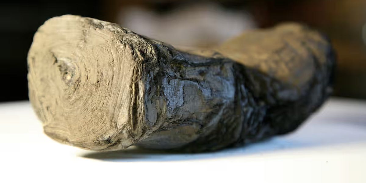 Reading 2,000-Year-Old Scrolls from Herculaneum's Ruins