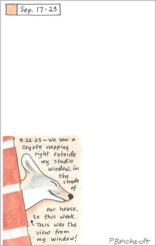 Coyote Napping (pen, watercolor & colored pencil), Perpetual Journal entry