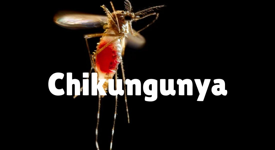 Costa Rica reports significant increase in chikungunya in 2026