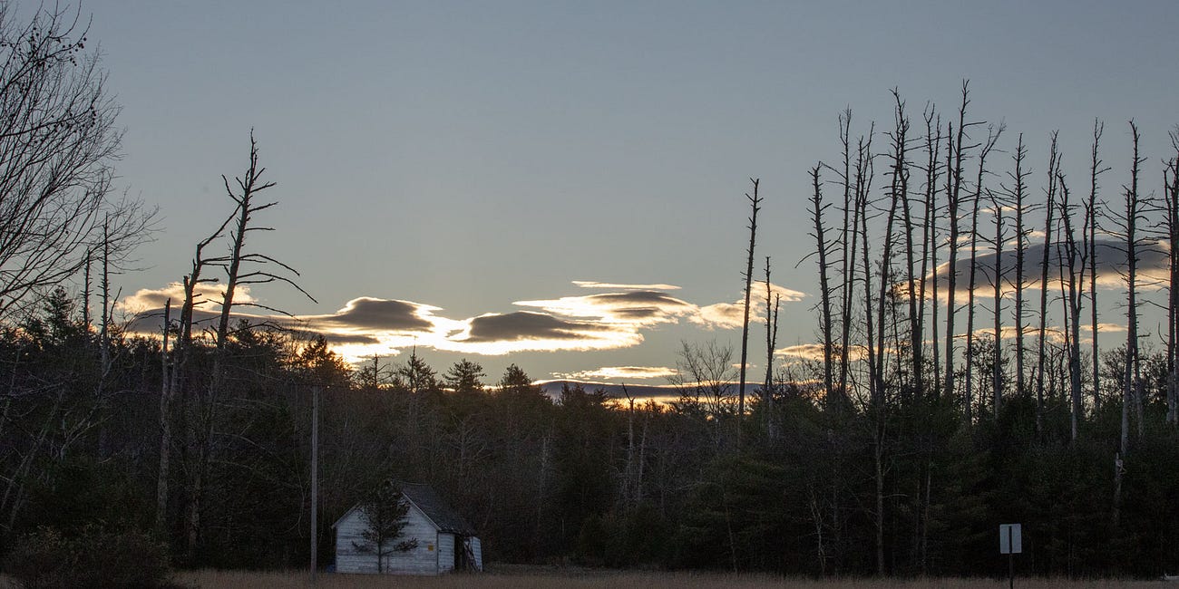 [PW Substack] Monthly Horoscope for December 2024, with Starcast 