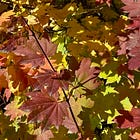 The Power of Anxiety