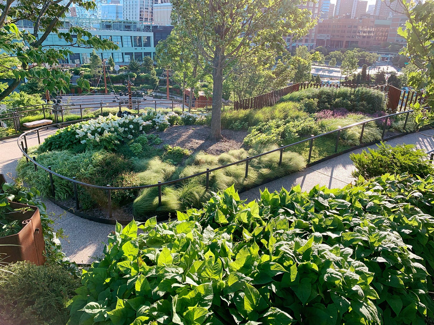 Winding paths of Little Island