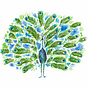 Peacock Voices's avatar