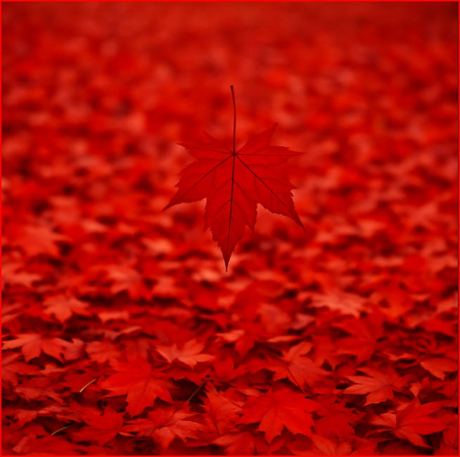Something red. Redder than red.