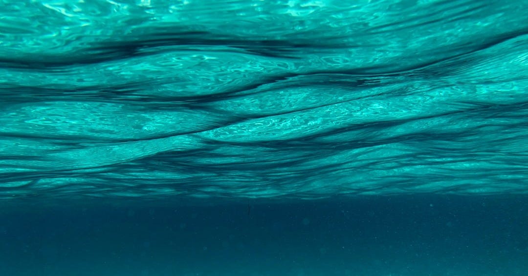 body of water body of water