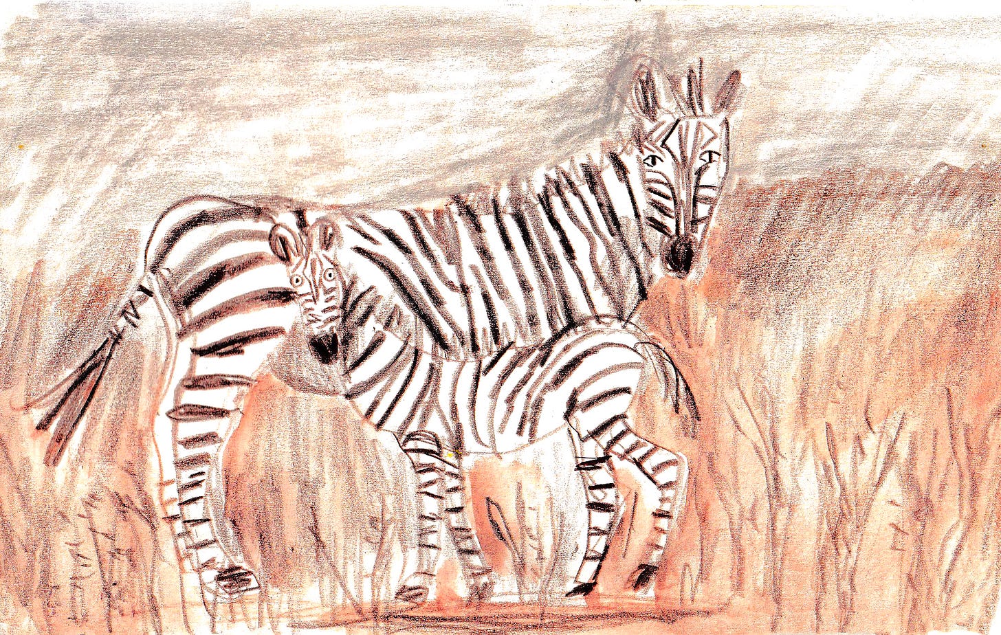 mom and baby zebra illustration by Beth Spencer