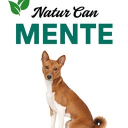 Artwork for Silvia R.Marques