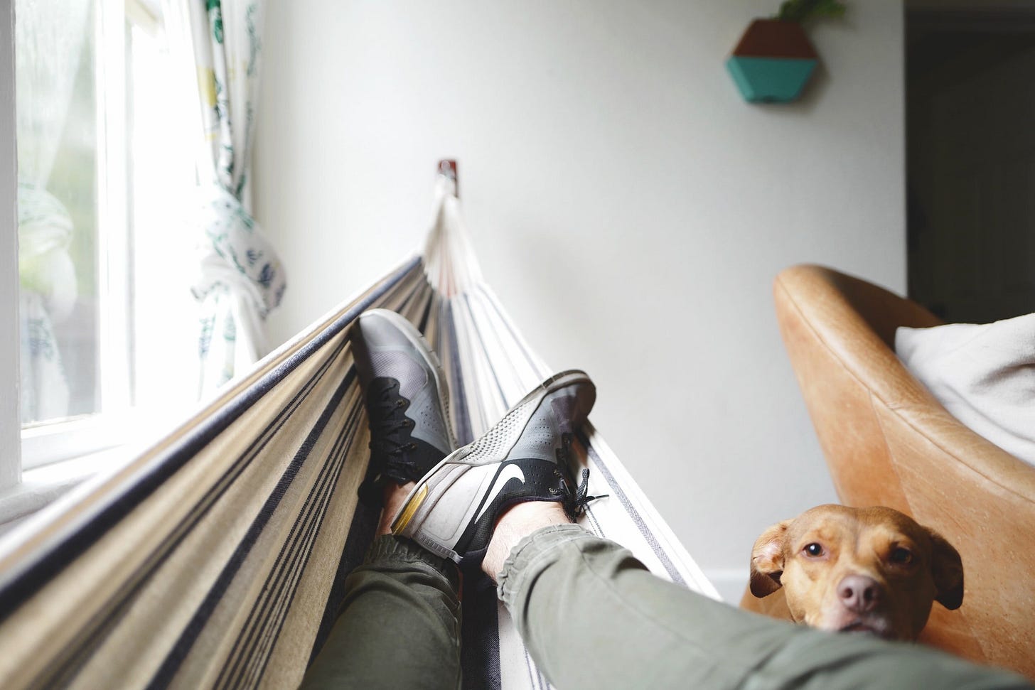 image via Unsplash