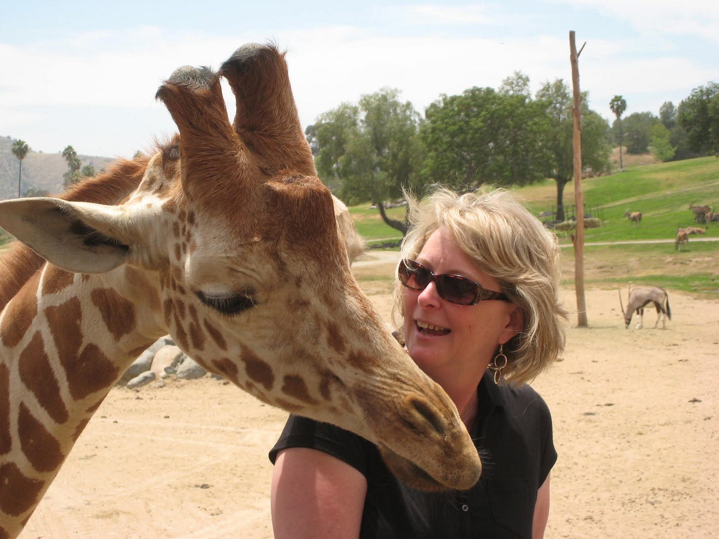 Barbara Evers: Caucasian female with giraffe