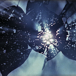 Fragments of Light