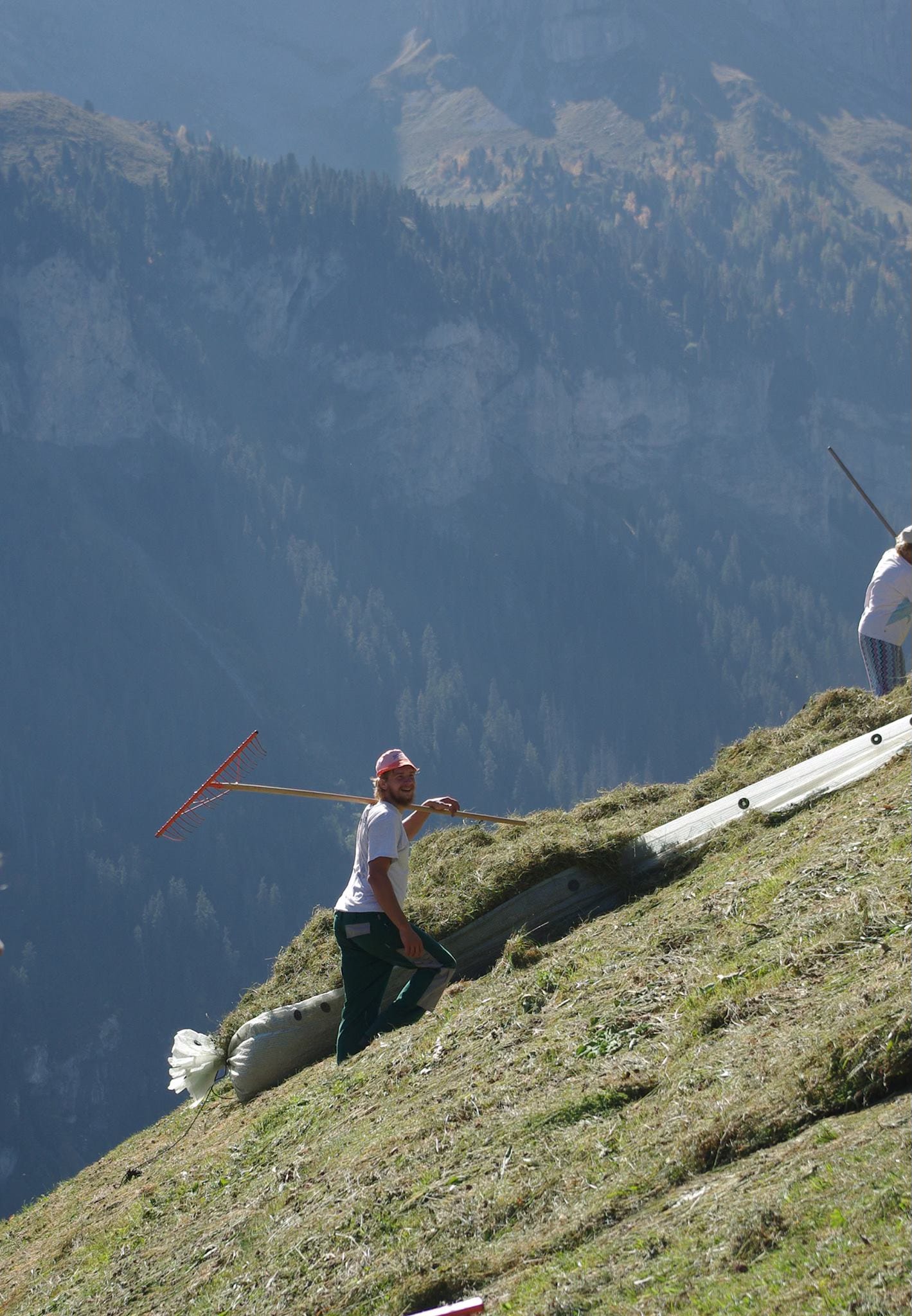 Photo of Stuart in jeans and a T-shirt, standing in a sloping field of hay with a rake tossed over his shoulder. The mountains of Switzerland are visible in the background.