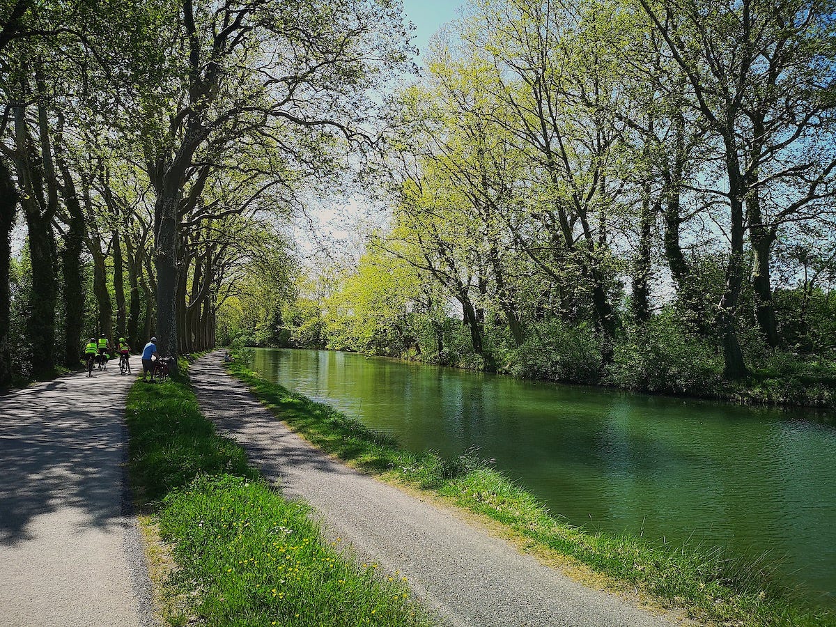 A picture of the Canal du Midi just outside Toulouse that shows the canal, the canopy of trees, and several bike riders.