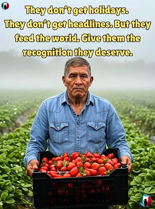 May be an image of 1 person, strawberry and text that says 'They don't get holidays. They don't get headlines. But they feed the world. Cive them the recognitlon they deserve.'