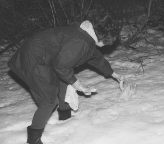 Linda Godfrey’s Field Investigation