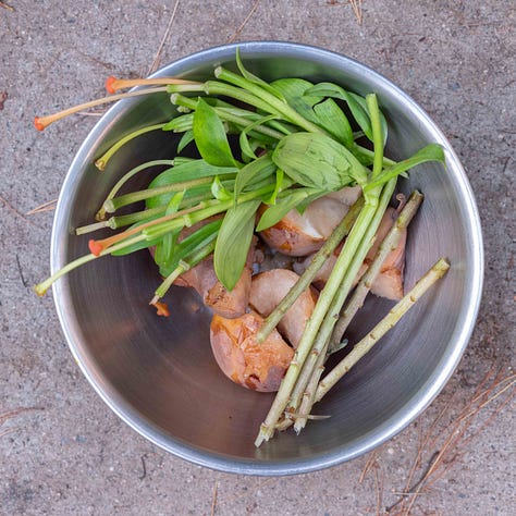 A grid of nine tin buckets of compost.