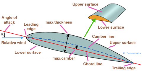The wings