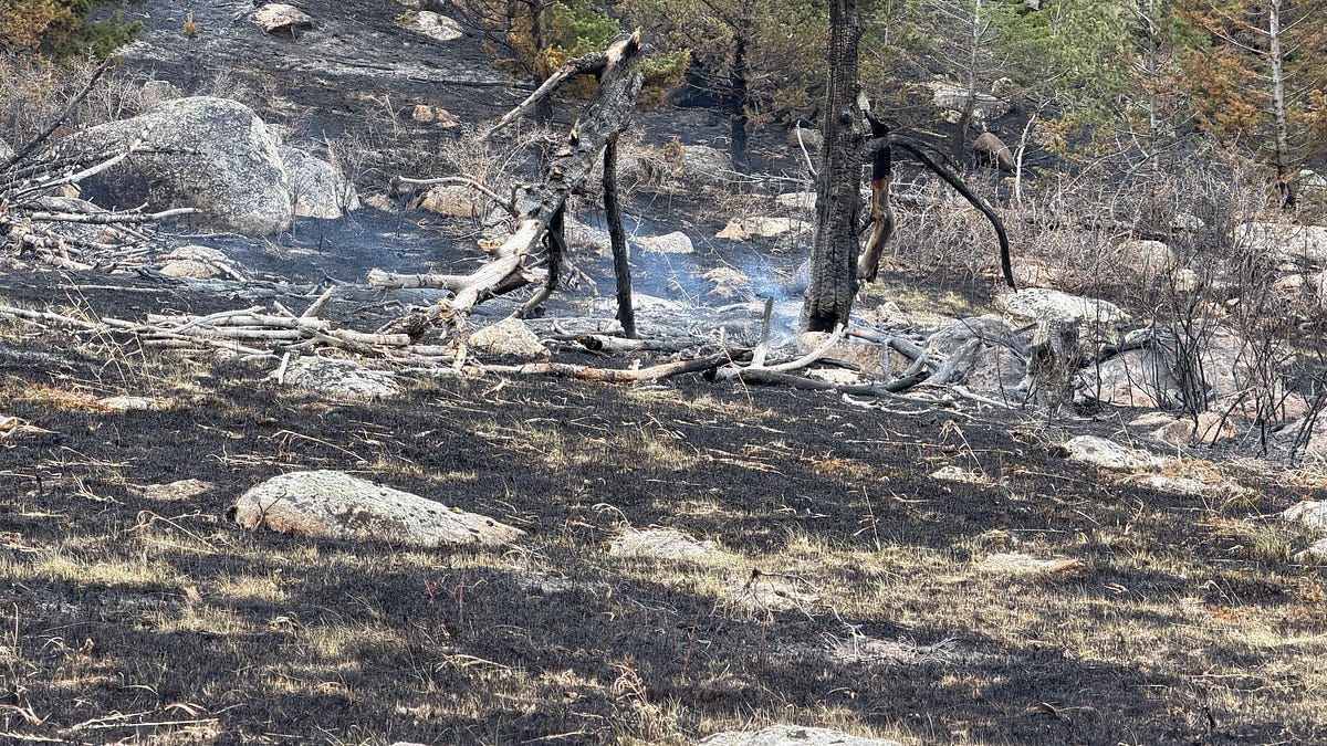 Fire, Wind and a Community on Watch: East Side Fire's Critical Hours