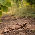 You Were Designed to Depend