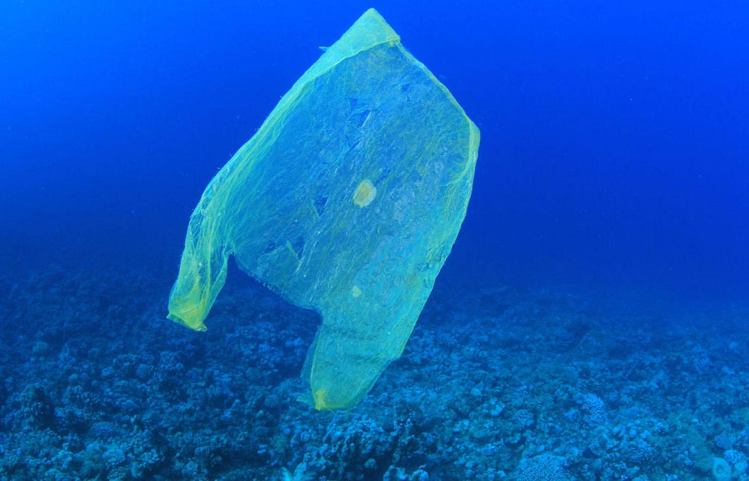 Plastic waste. Credit: MichaelisScientists / Wikimedia Commons. Licenza: CC BY-SA 4.0. 