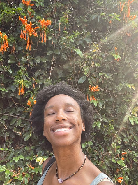 Flowers and waterfall