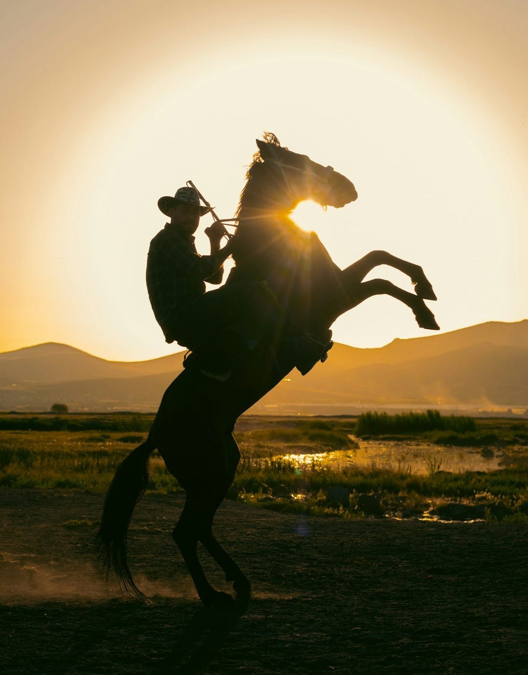A man riding a horse in the middle of a field A man riding a horse in the middle of a field