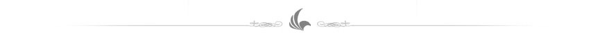 A decorative curly design element in grey, positioned between two horizontal lines.